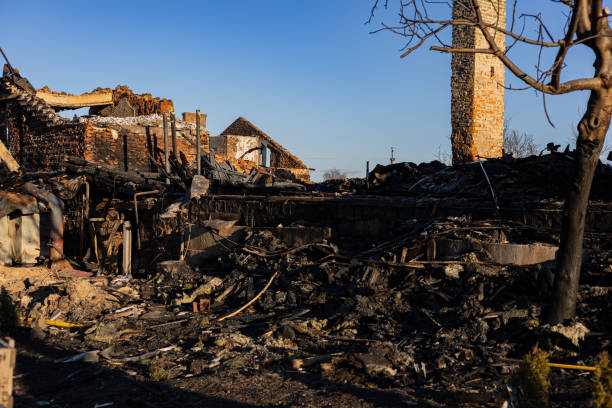 Reliable Board Up Services contractor in Hamburg, MN by Fire Damage Doption
